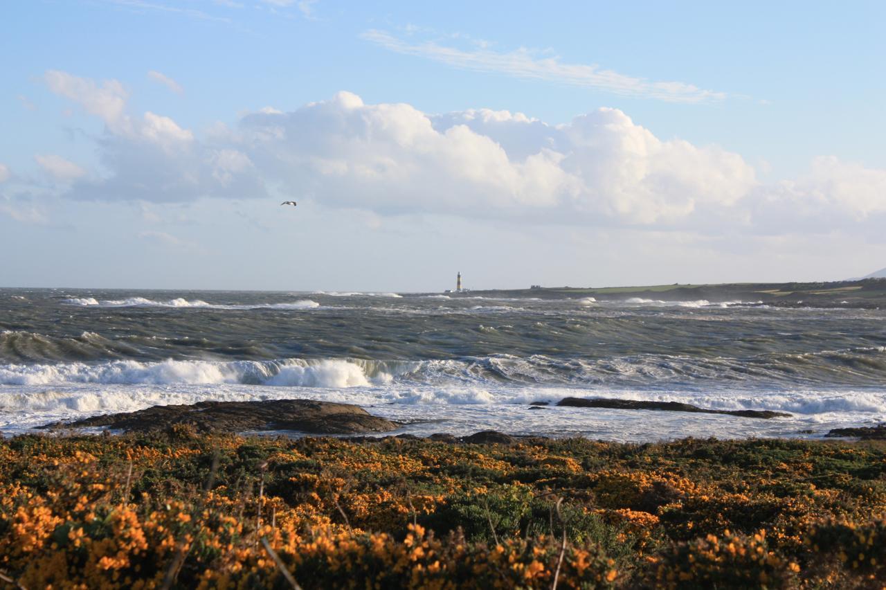 Ardglass Ringfad B&B מראה חיצוני תמונה